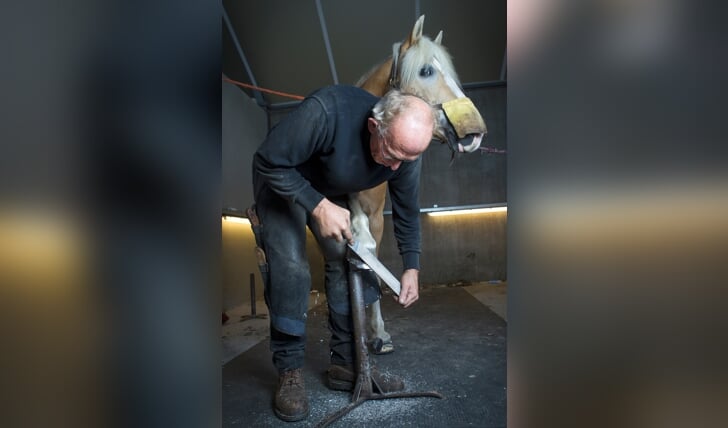 #beschrijving#
#collectie# paarden
#zoekkeyword# vijlen; smid; actie; hoef
#categorie# Praktijk
#persoon# Nassau, Rob van
#nationaliteit#
#paard#
#paardkleur#
#stamboek#
#bijzonderheid# Hoefsmid
#onderwerp# Hoefsmid Rob van Nassau
#locatie# Roosendaal
#land# Nederland
#definitief# ja
#eventid# 259