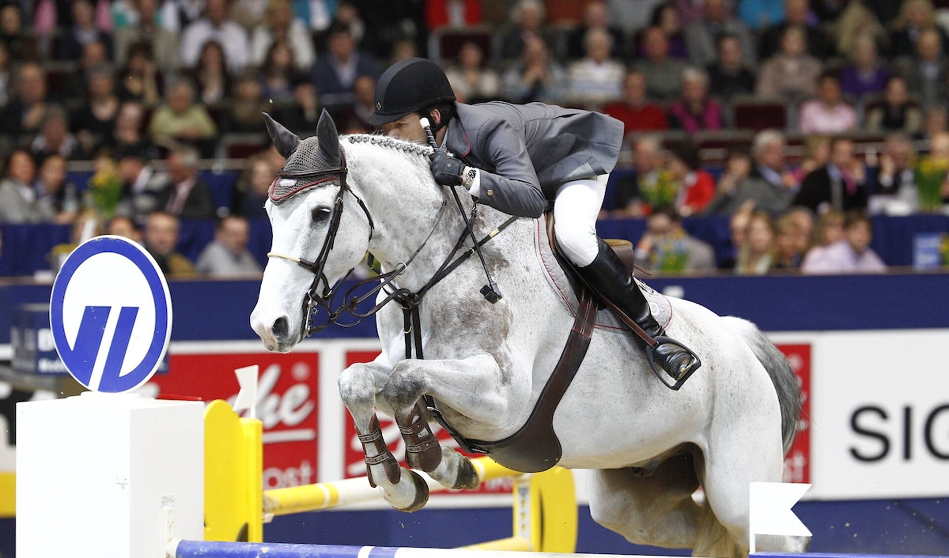 Vincent Voorn - Audi's Alpapillon Armani
Signal Iduna Cup - Dortmund
© DigiShots