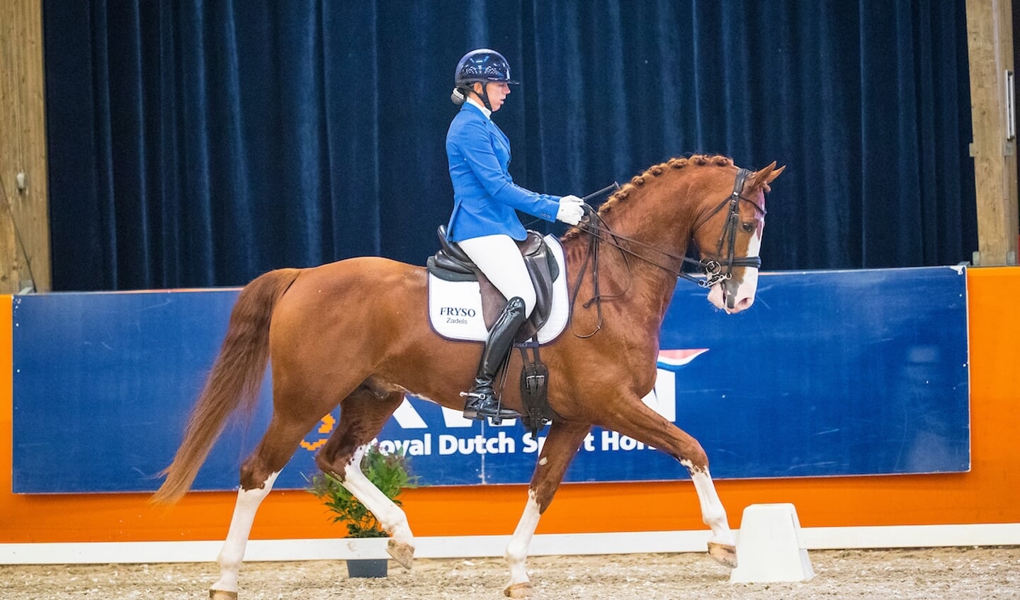 Leonie Evink - Imposant EM
KWPN Hengstencompetitie Gelders Paard 2019
© DigiShots