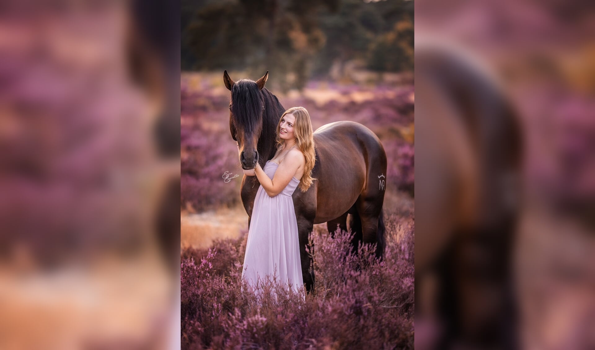 Simone Koning over Cauto: “Het is zo'n leuk paard om mee te werken!” Het onafhankelijke paarden(sport)medium