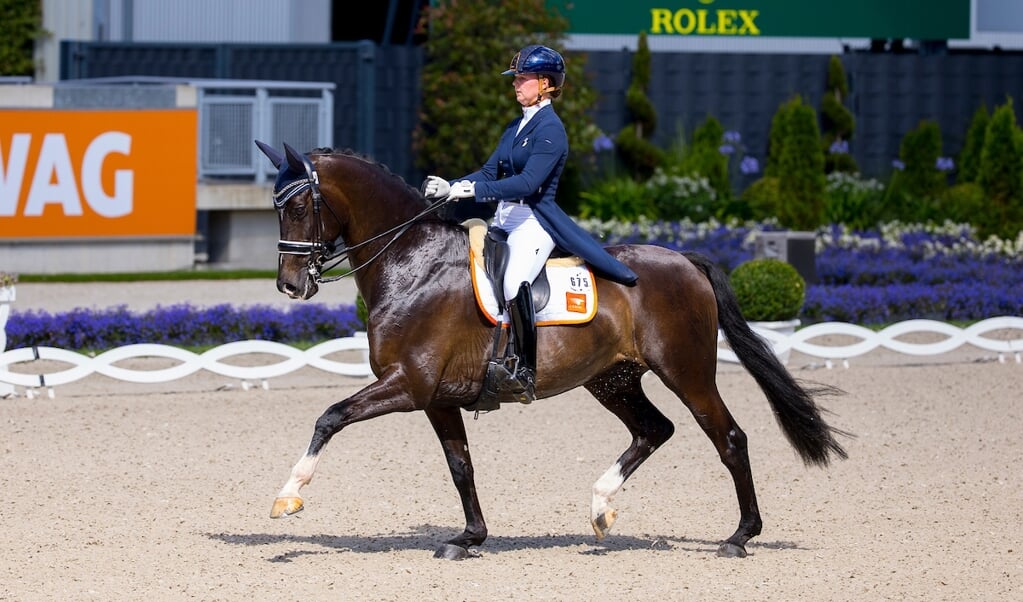 Robin Heiden - Gasmonkey
World Equestrian Festival CHIO Aachen 2022
© DigiShots