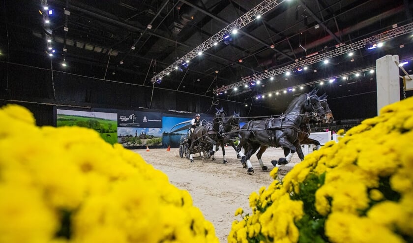 Boyd Exell (AUS)
Horses before the carriage
1A Bajnok, 1B Barny, 1E Mad Max 81, 1F Maestoso Jupiter
Jumping Indoor Maastricht 2022