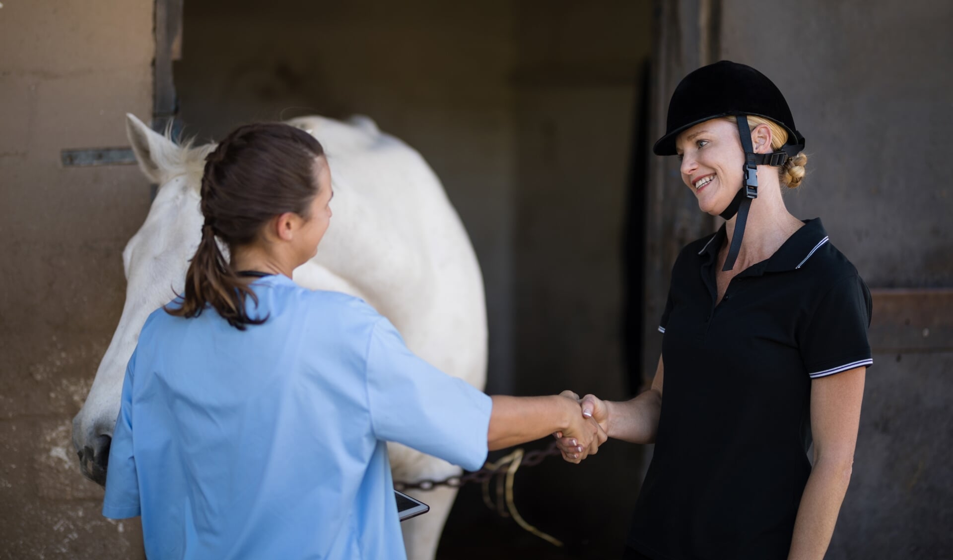 Female jockey giving handshake to vet by horse at barn