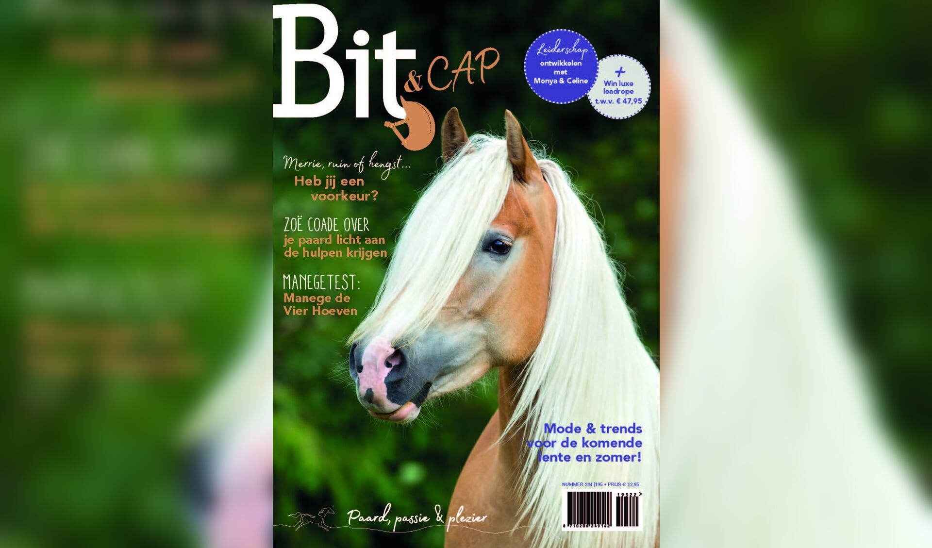 Cover Bit-CAP 284-195
