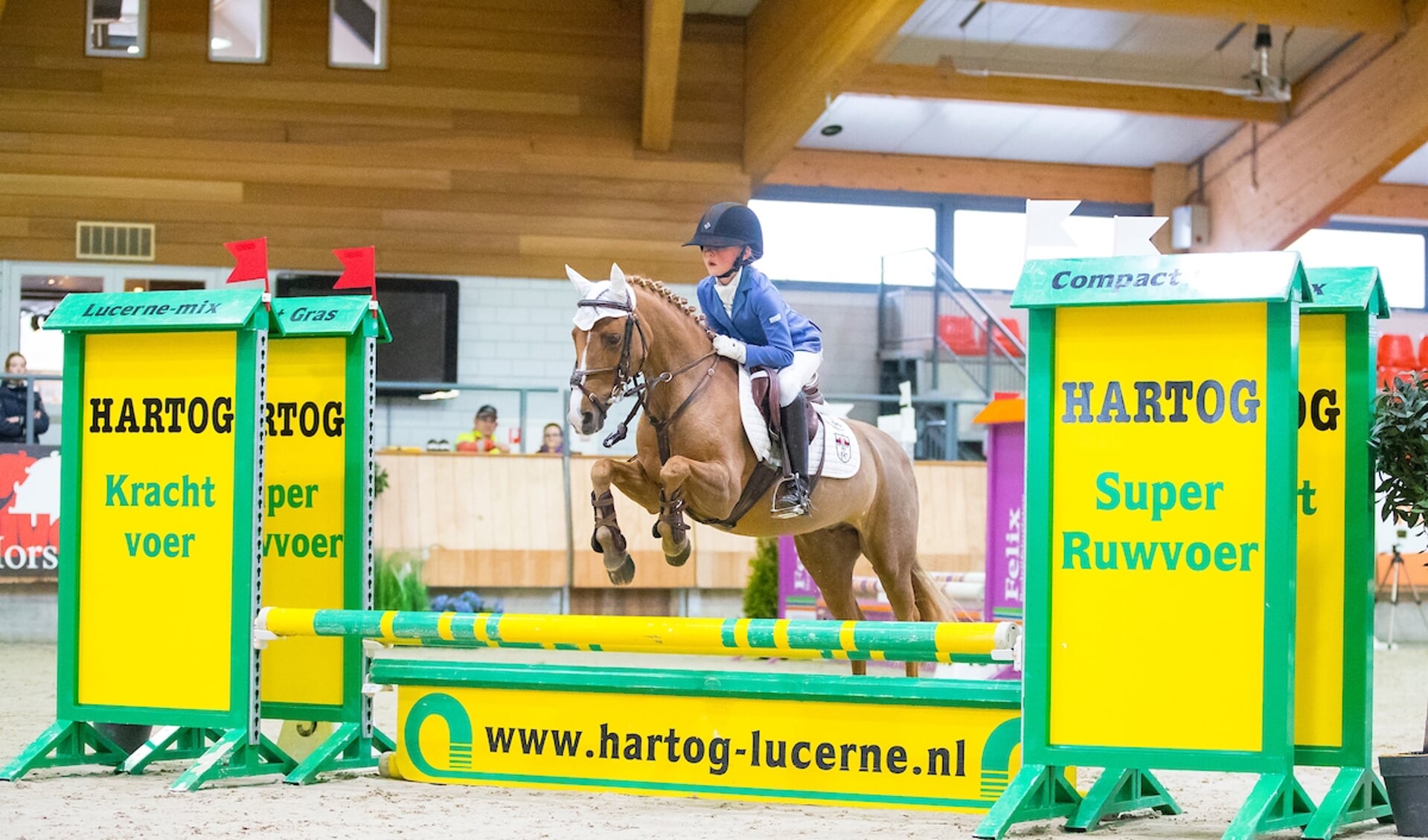 Guusje Gaasbeek - Misty Dee
KNHS Indoorkampioenschappen 
© DigiShots