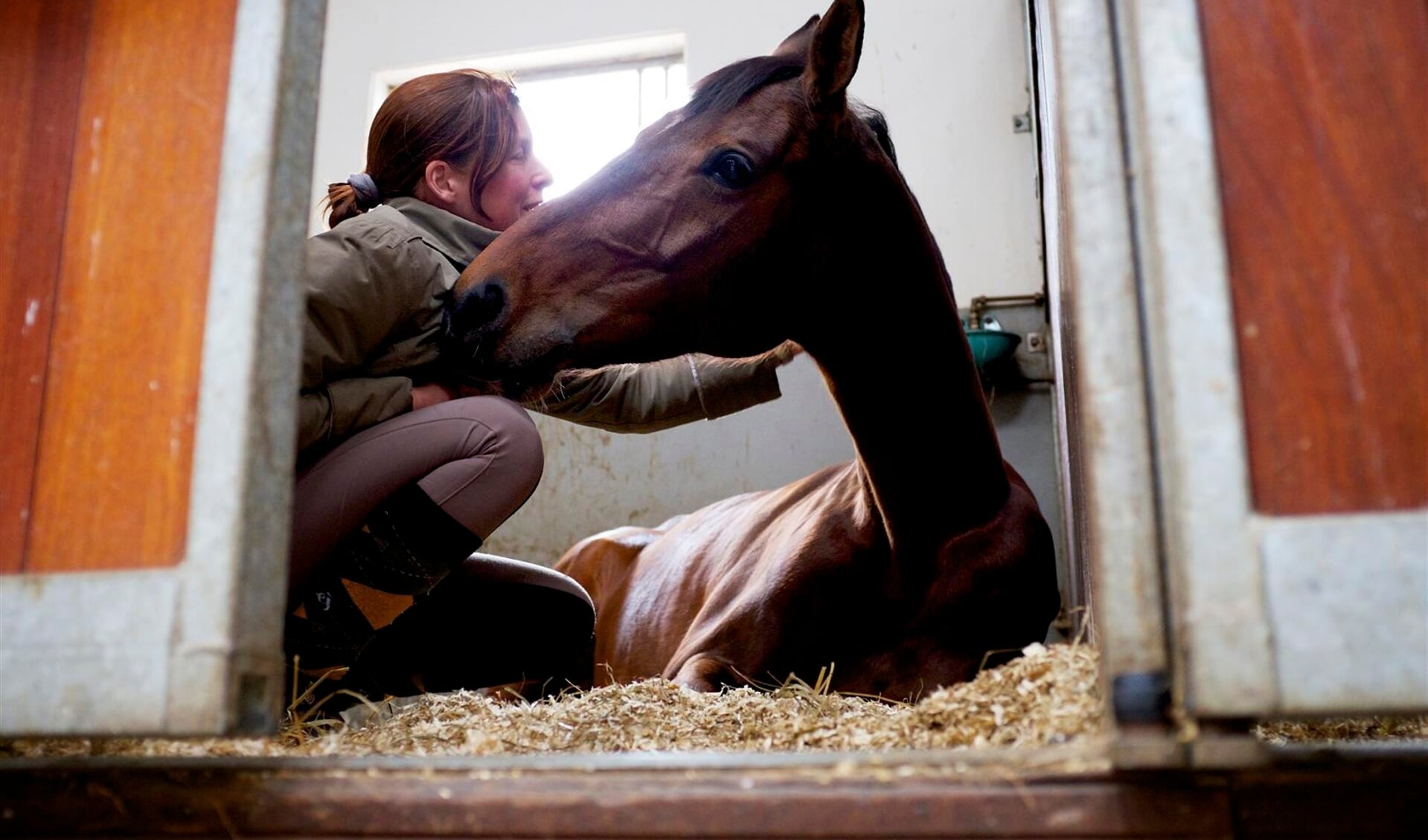 interactie mens paard stal