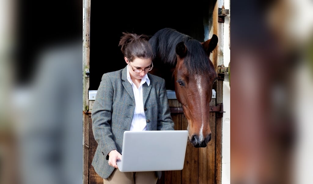 young woman with computer and horse, contemplating equestrian business