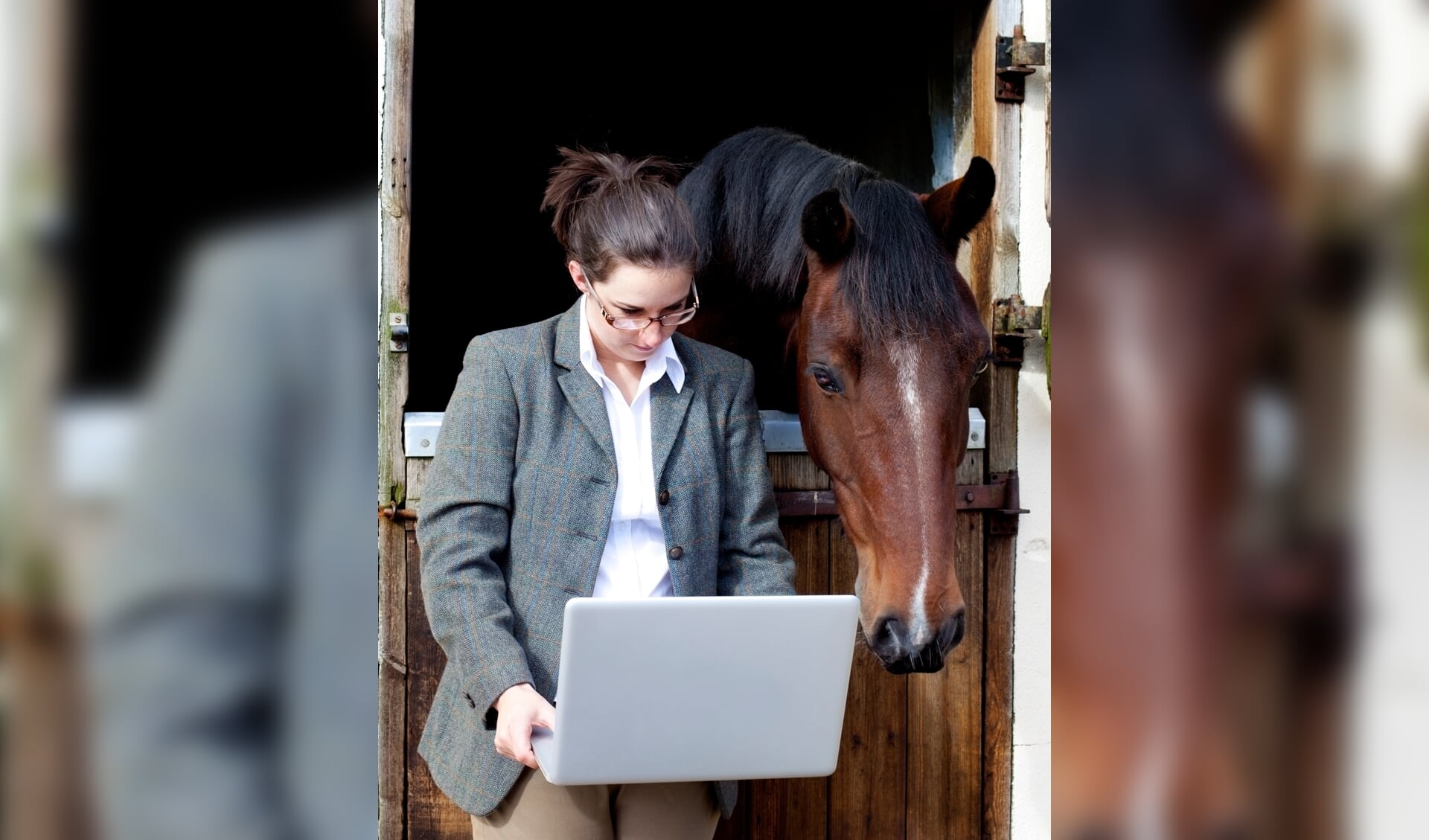 young woman with computer and horse, contemplating equestrian business