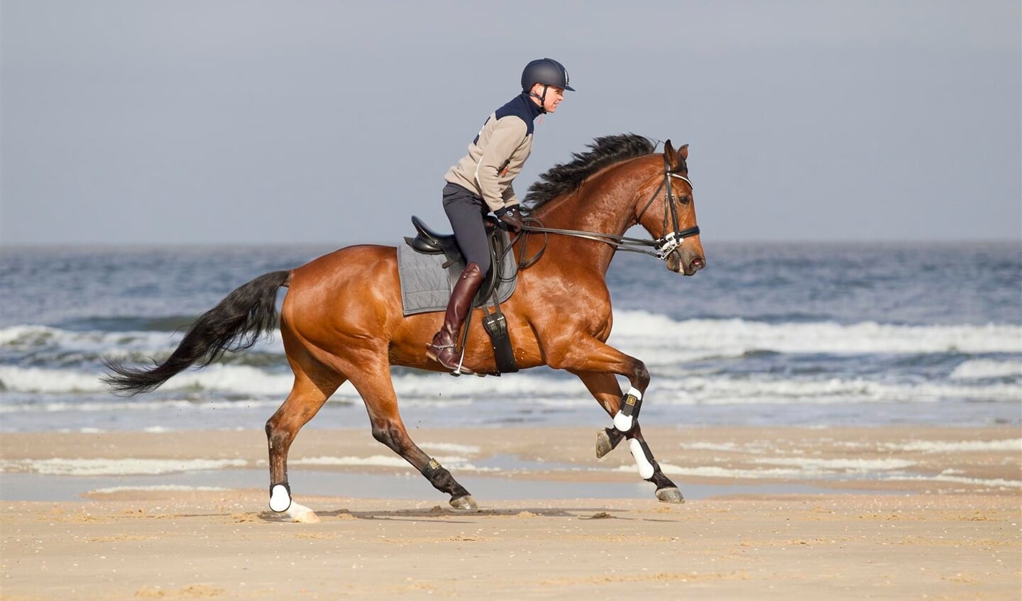 sprong strand galop