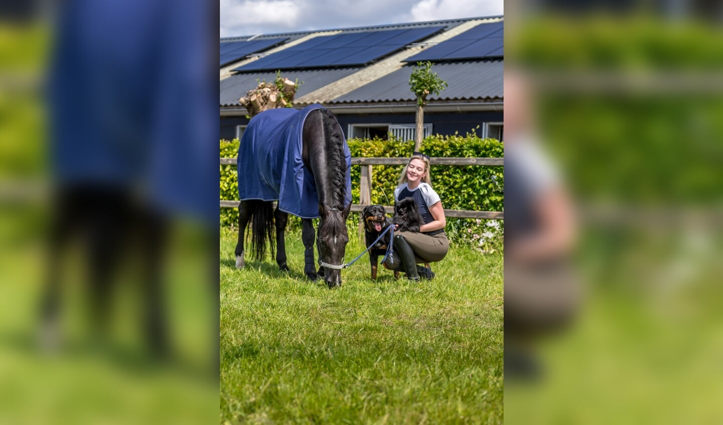 Er liggen 90 zonnepanelen op de daken om te voorzien in de energiebehoefte.