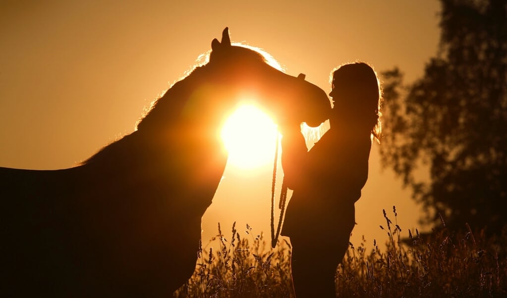 Oberoderwitz, Silhouette, Frau kuschelt mit ihrem Pferd