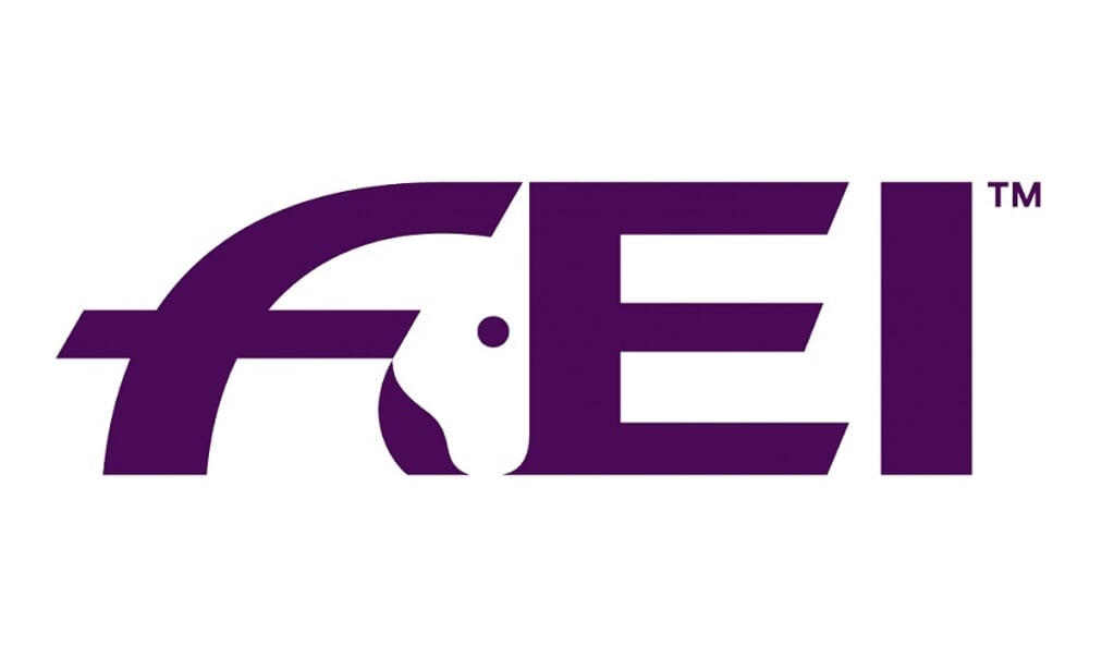 logo fei driving