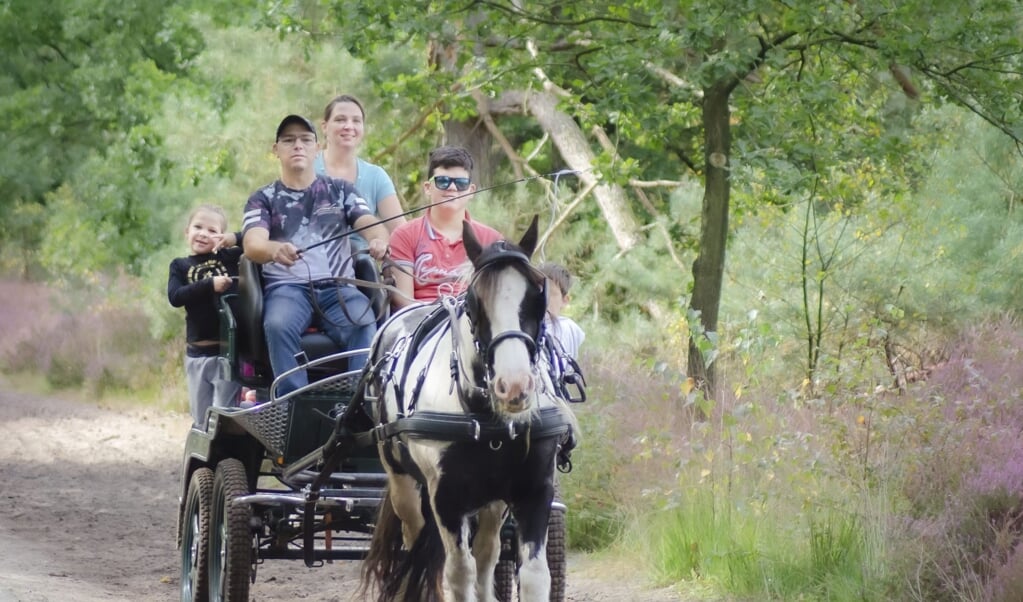 eerste rallyrit cartierheide voor