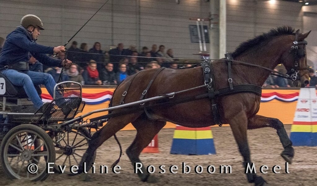 v Bas de Koning - Betuwe en Linge cup 18-11-2017 - foto Eveline Roseboom Meel-1706-2