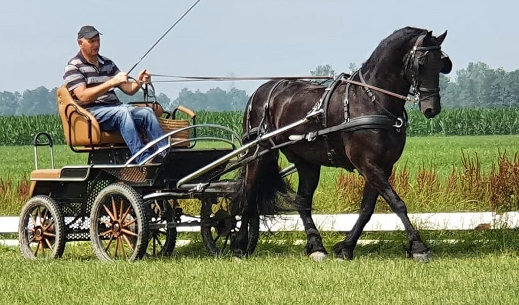 Cor van der Sluis-Master