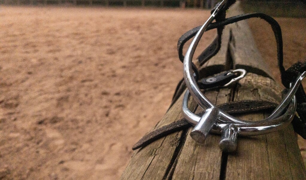 Horse jumping equipment - spur for horse