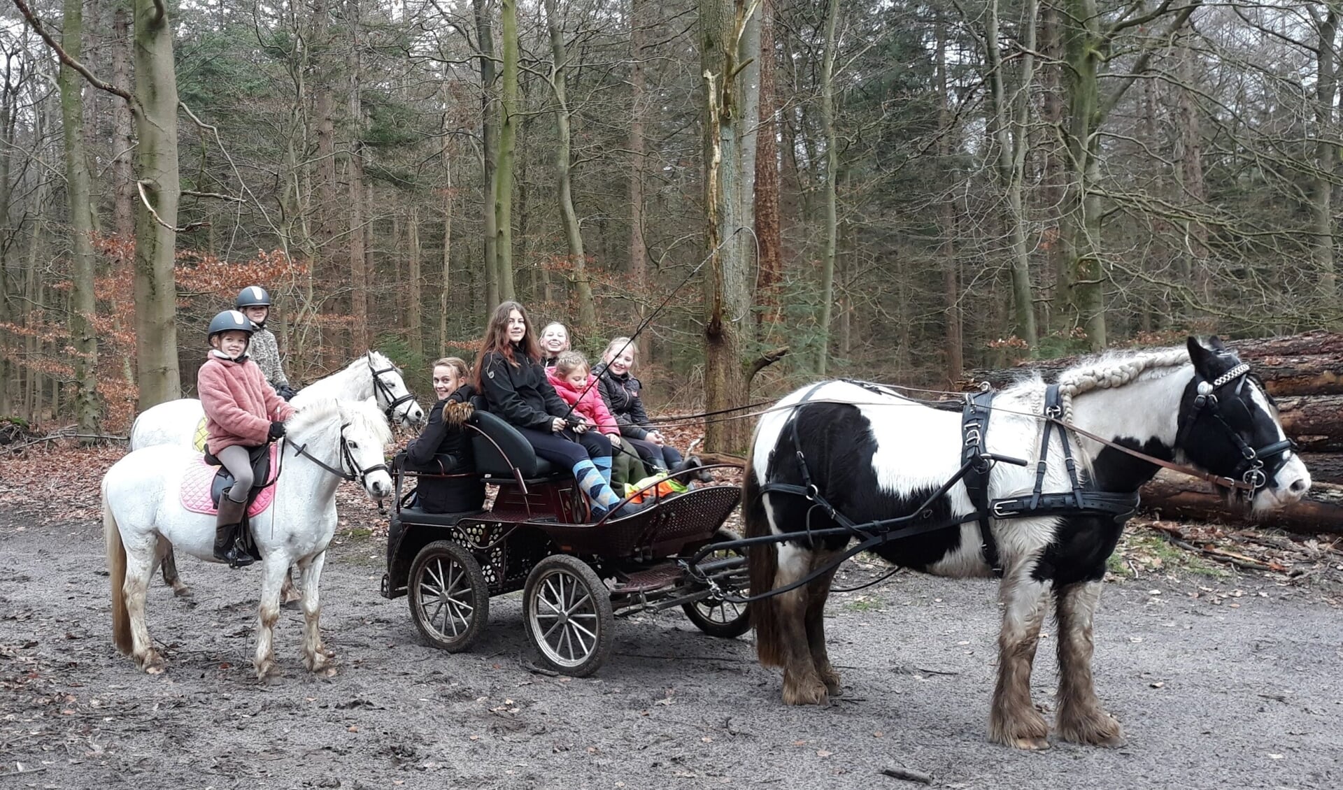 Jantje Boer mennen met de groep