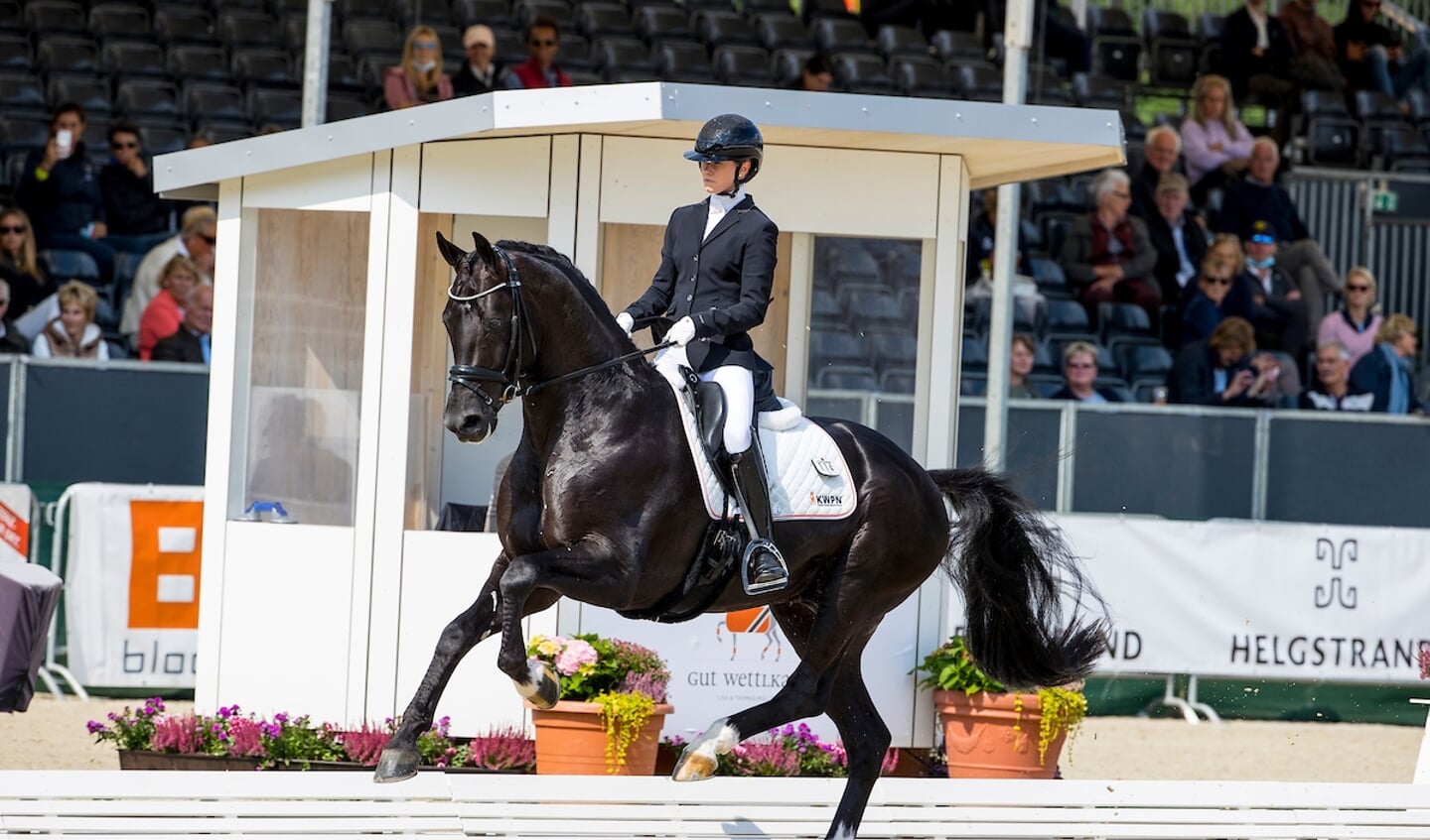 De geweldige galoppade van Kjento leverde hem tijdens het WK Jonge Dressuurpaarden één van zijn vier tienen op. © DigiShots