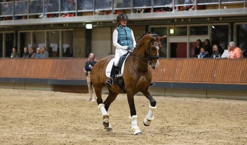 Hoefslag Masterclass, Jean Bemelmans, Deurne, Green Valley Estate, clinic, expert panel