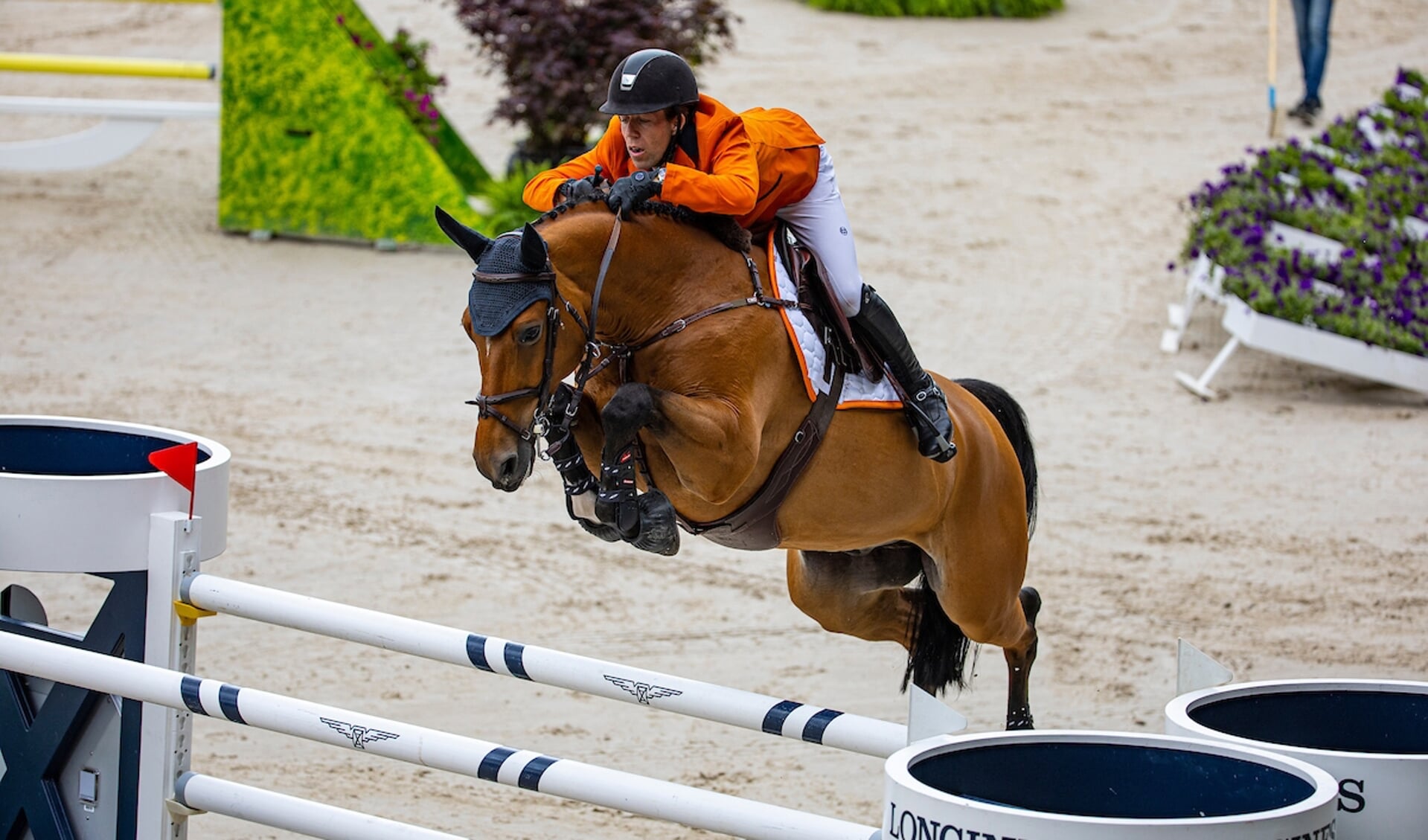 Maikel van der Vleuten - Beauville Z

© DigiShots