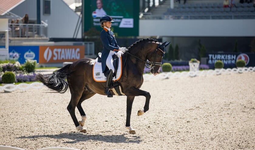 Marieke van der Putten - Torveslettens Titanium RS2
World Equestrian Festival CHIO Aachen 2022
© DigiShots