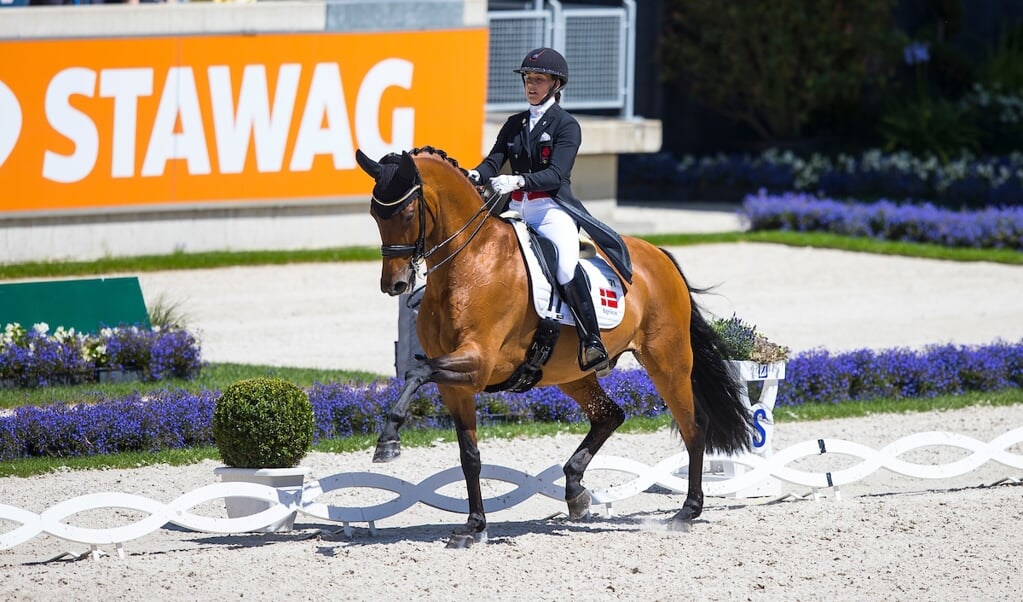 Cathrine Dufour - Vamos Amigos
World Equestrian Festival CHIO Aachen 2022
© DigiShots