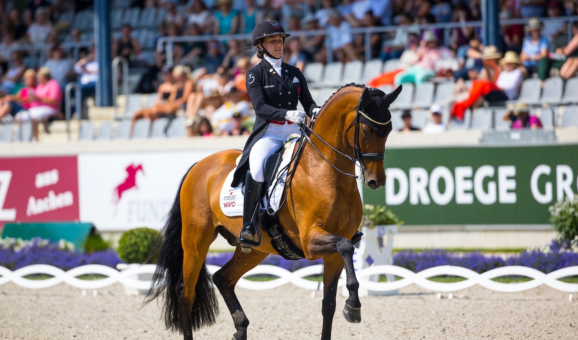 Cathrine Dufour - Vamos Amigos
World Equestrian Festival CHIO Aachen 2022
© DigiShots