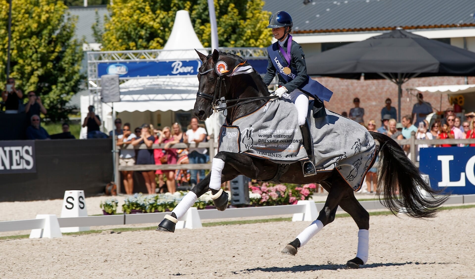 Fry Charlotte Glamourdale
World ChampionshipsYoung Dressage Horses
Ermelo 2018
© Hippo Foto
