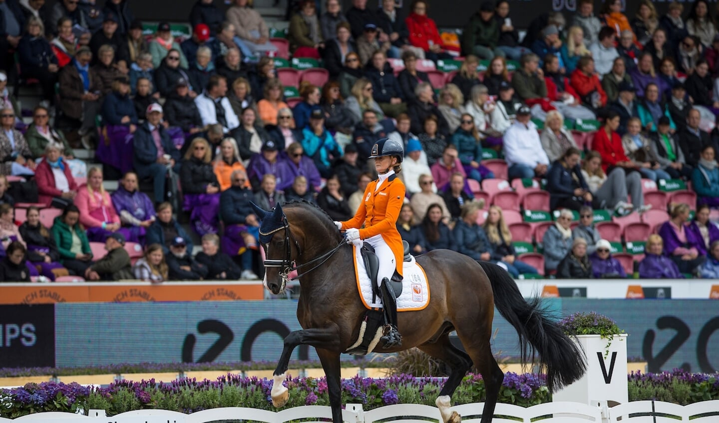 Marieke van der Putten (NED) - Torveslettens Titanium RS2
ECCO FEI World Championships - Herning - Denmark 2022
© DigiShots