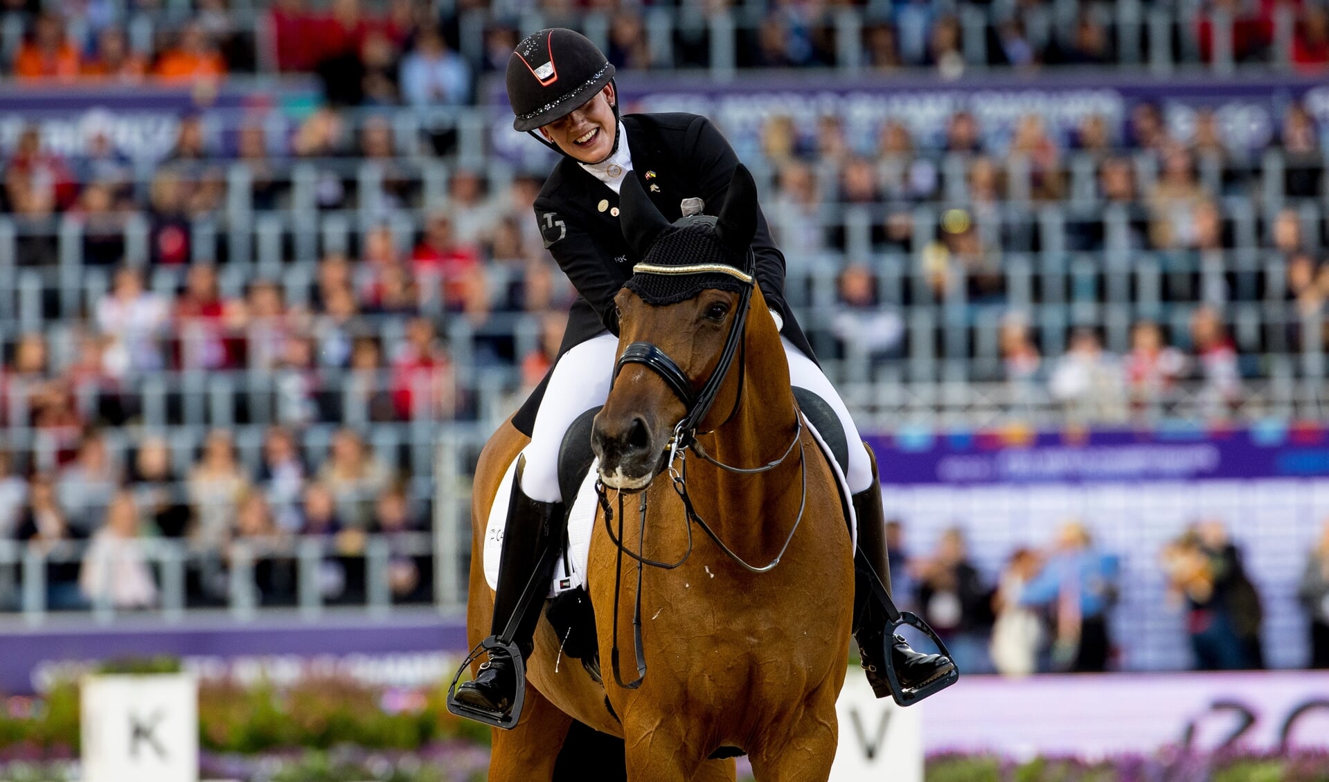 Cathrine Dufour (DEN) - Vamos Amigos
ECCO FEI World Championships - Herning - Denmark 2022
© DigiShots