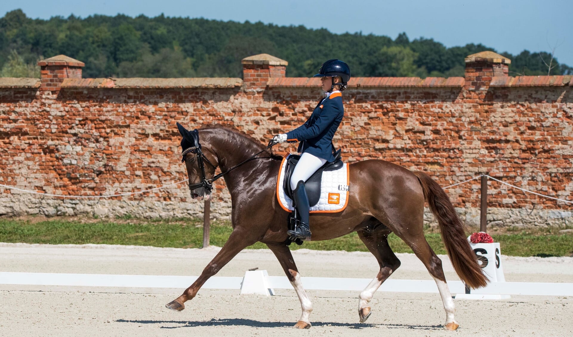 Maddy Dijkshoorn met Boogie De L’Aube 