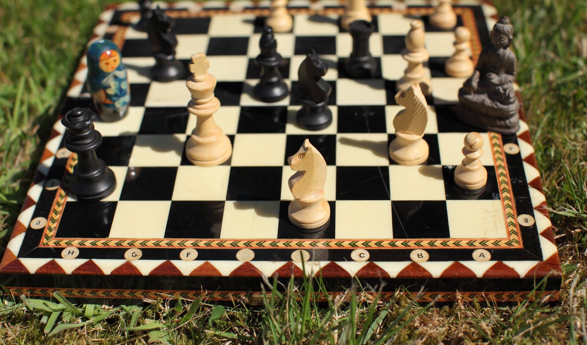 Hoe wordt het schaakspel gespeeld?