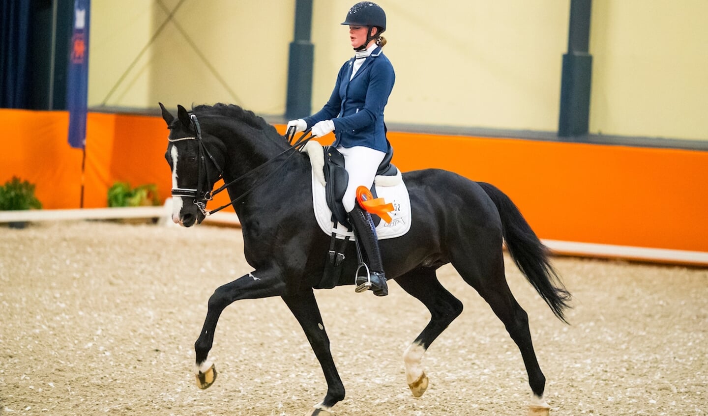 Anouk Slabbers - Ibsen B
KWPN Hengstencompetitie Gelders Paard 2019
© DigiShots