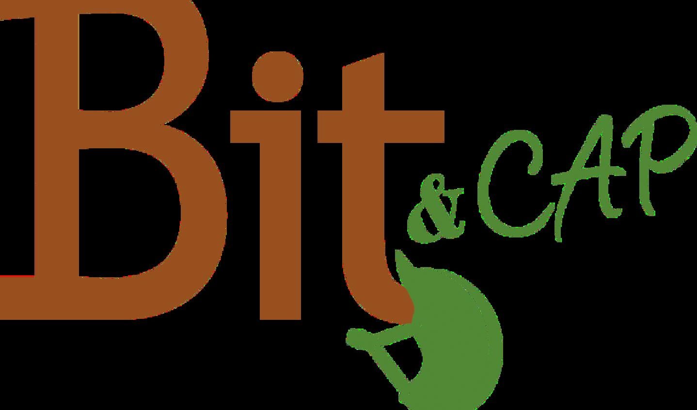 Bit_Cap_logo_2022-03