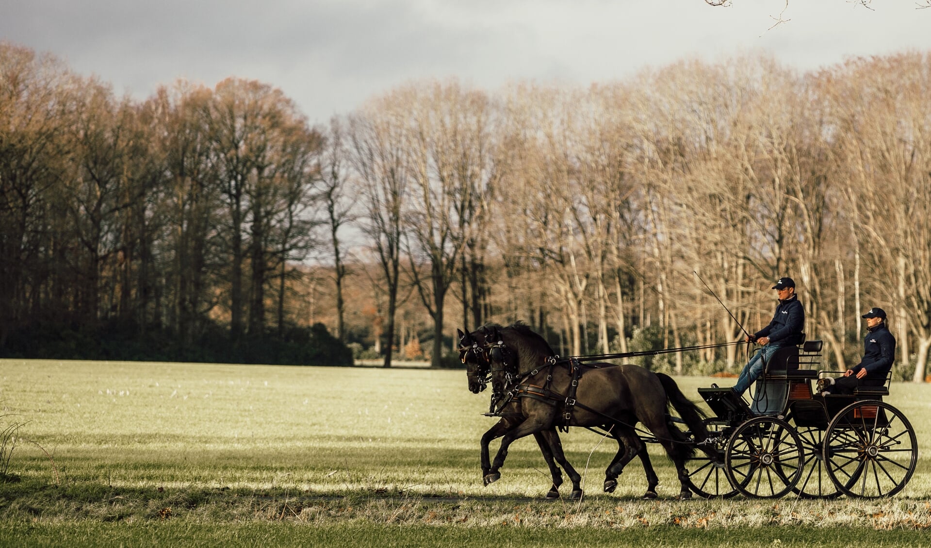 Photography: LOTTY VAN HULST