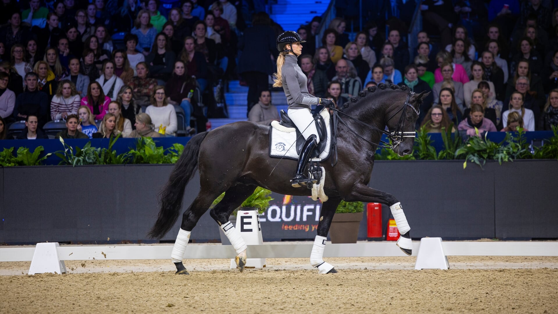 Clinic Rieky Young en Dinja van Liere met Lowlands
Top Of The Dressage
© DigiShots