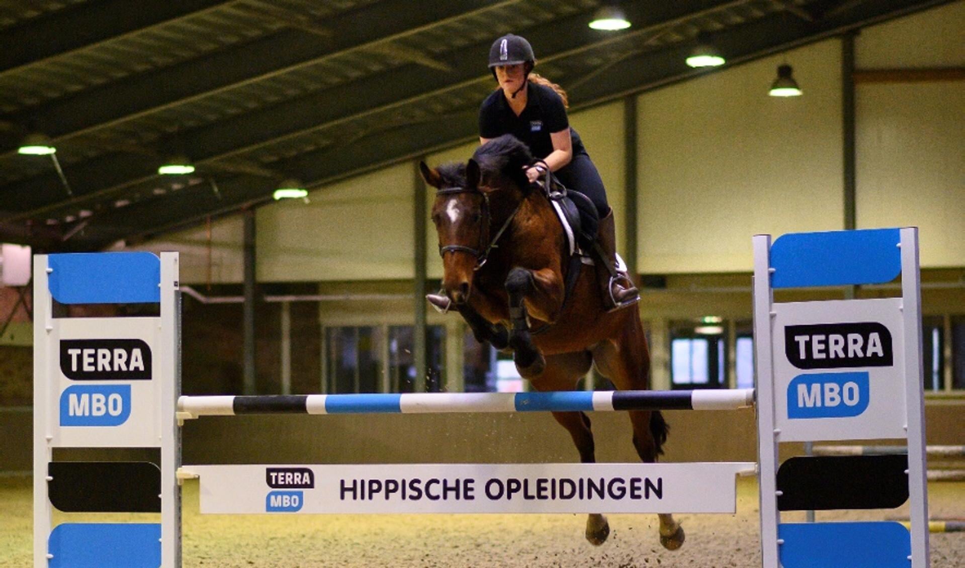 Hippische opleidingen bij maak van je passie voor paarden jouw beroep! | Het onafhankelijke