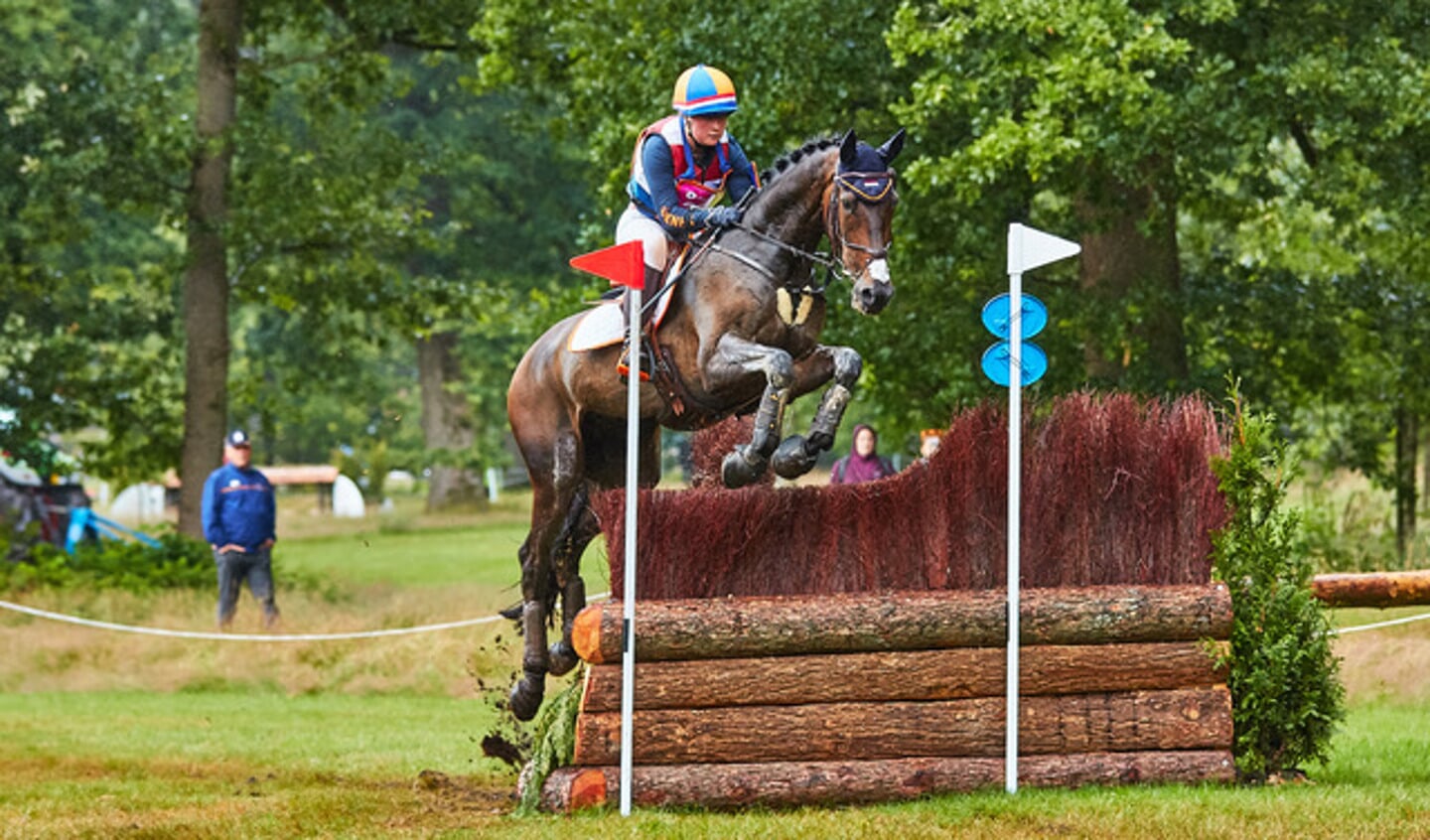 ID00456
Rider: Mylène Spaak
Horse: King Canna
Year of Birth: 2007
Gender: Gelding
Studbook: ZANG
Sire: Amoroso van de Helle
Dam: 
Sire of Dam: Saros
Competition: FEI European Championship 2019
Discipline: Eventing - Cross Country
Class: CH-EU-Y-CCI3*-L
Date: 13 July 2019
Location: Maarsbergen
Country: The Netherlands