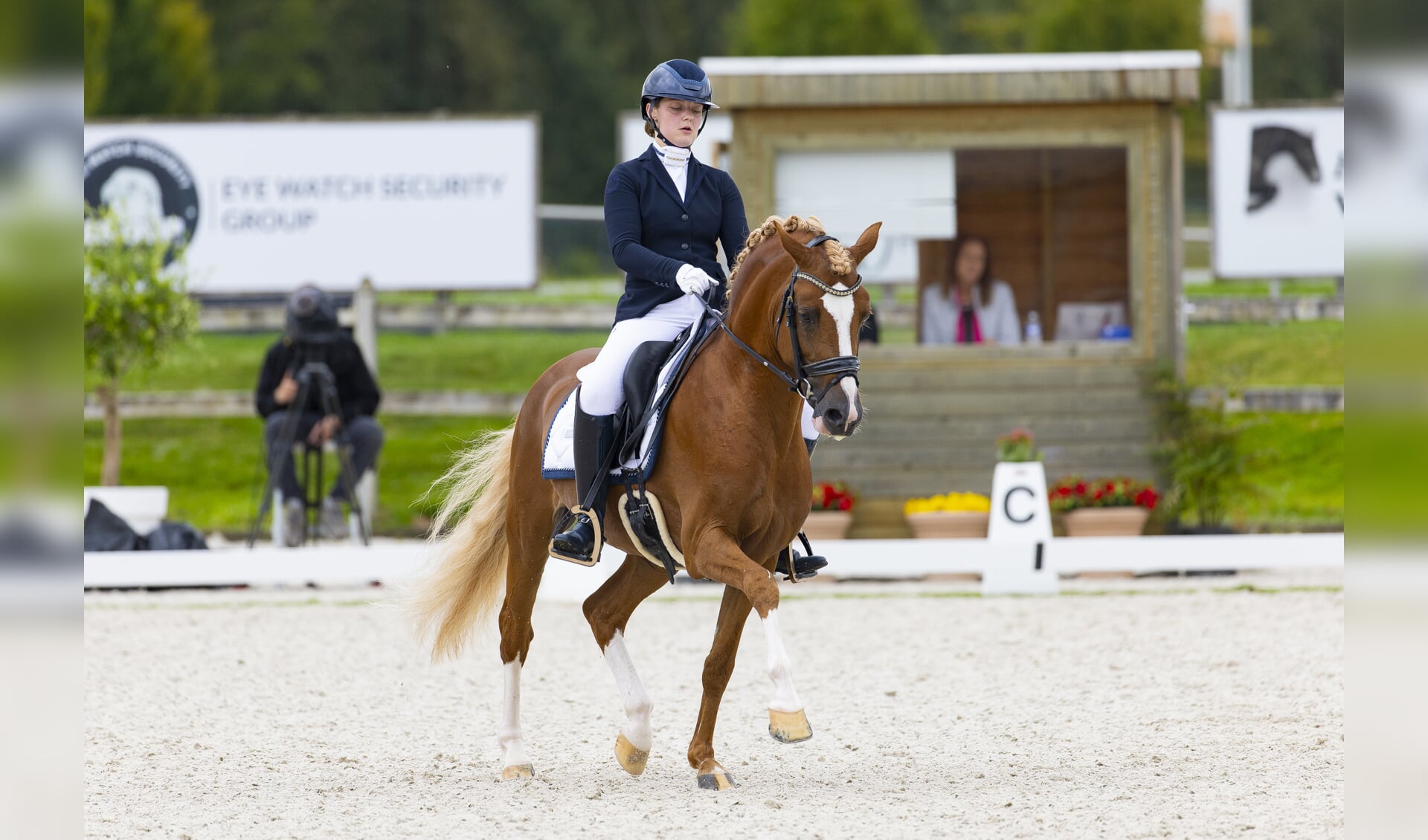 Portret van ‘droompony’ His Royal Badness DK “Volgend jaar wil ik de