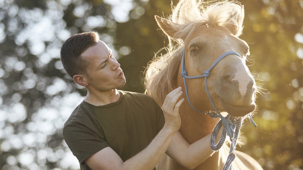 Portrait of man calming horse during obedience training on sunny summer day.