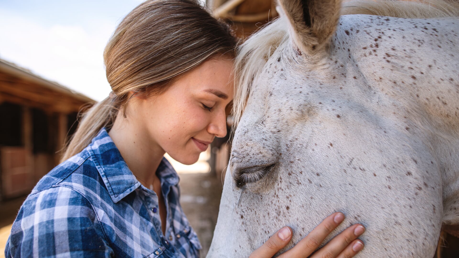 Girl bonding with her horses