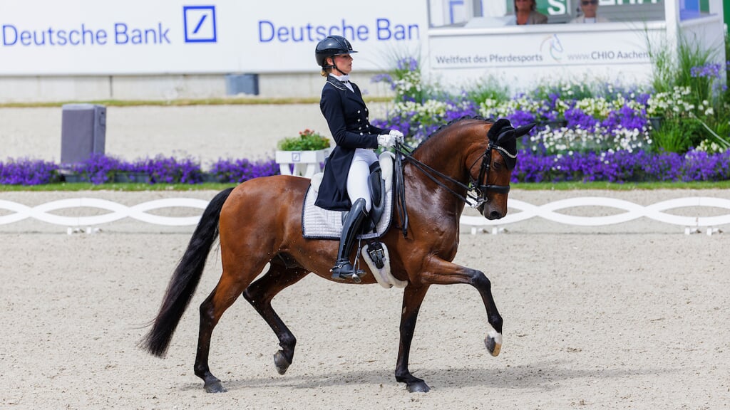 Dinja van Liere (NED) - Vita di Lusso
World Equestrian Festival CHIO Aachen 2023
© DigiShots