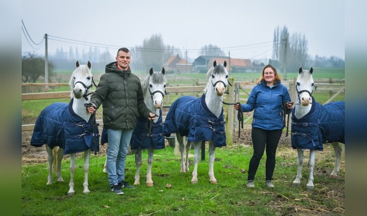 2. Julien en Daisy temidden van de wedstrijdpony's:
