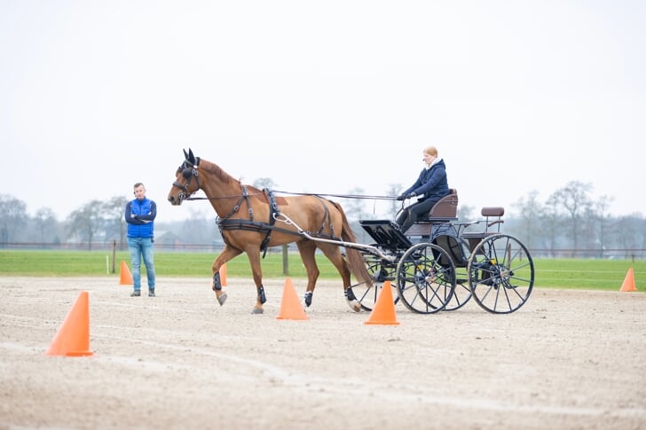 Tonnie Cazemier, Lisa KleinJan, Kobus, Gelderse, enkelspan, dressuur