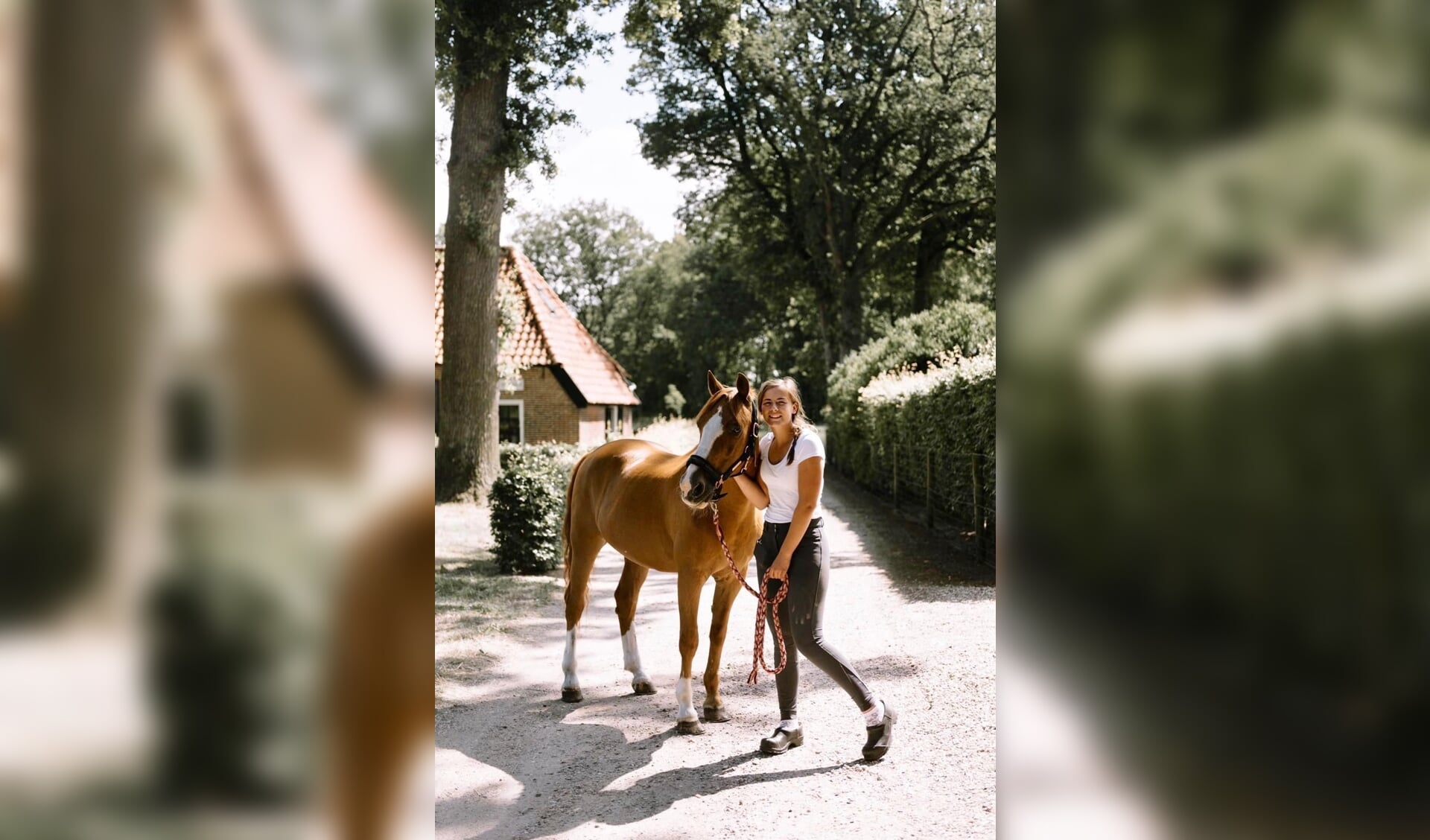 oplichter wekelijks gallon Familiepony David 35 jaar oud: “Was hij maar 1.70m” | Het onafhankelijke  paarden(sport)medium