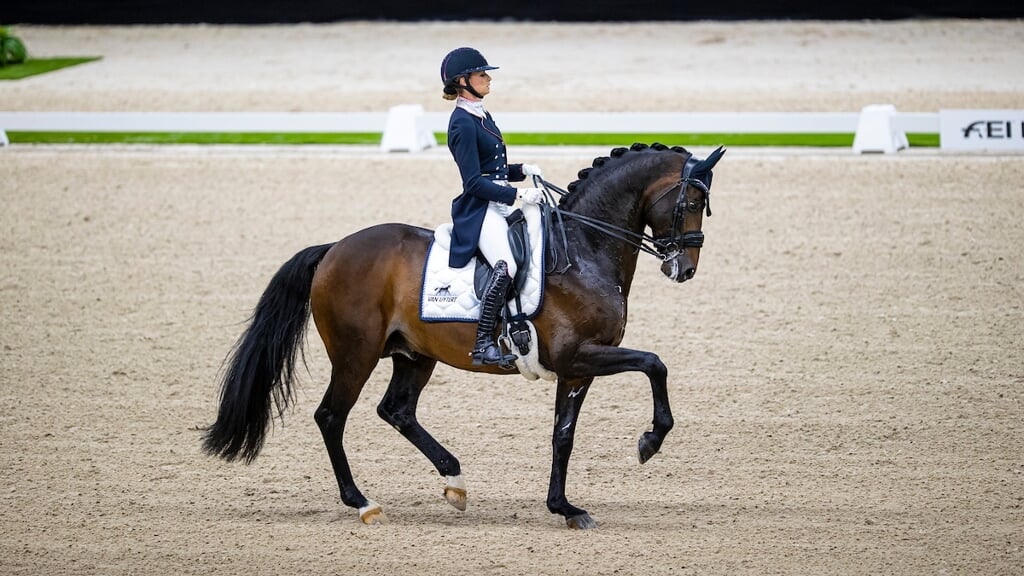 Dressuur, Springen En Eventing Goedgekeurd Voor De Olympische Spelen In ...