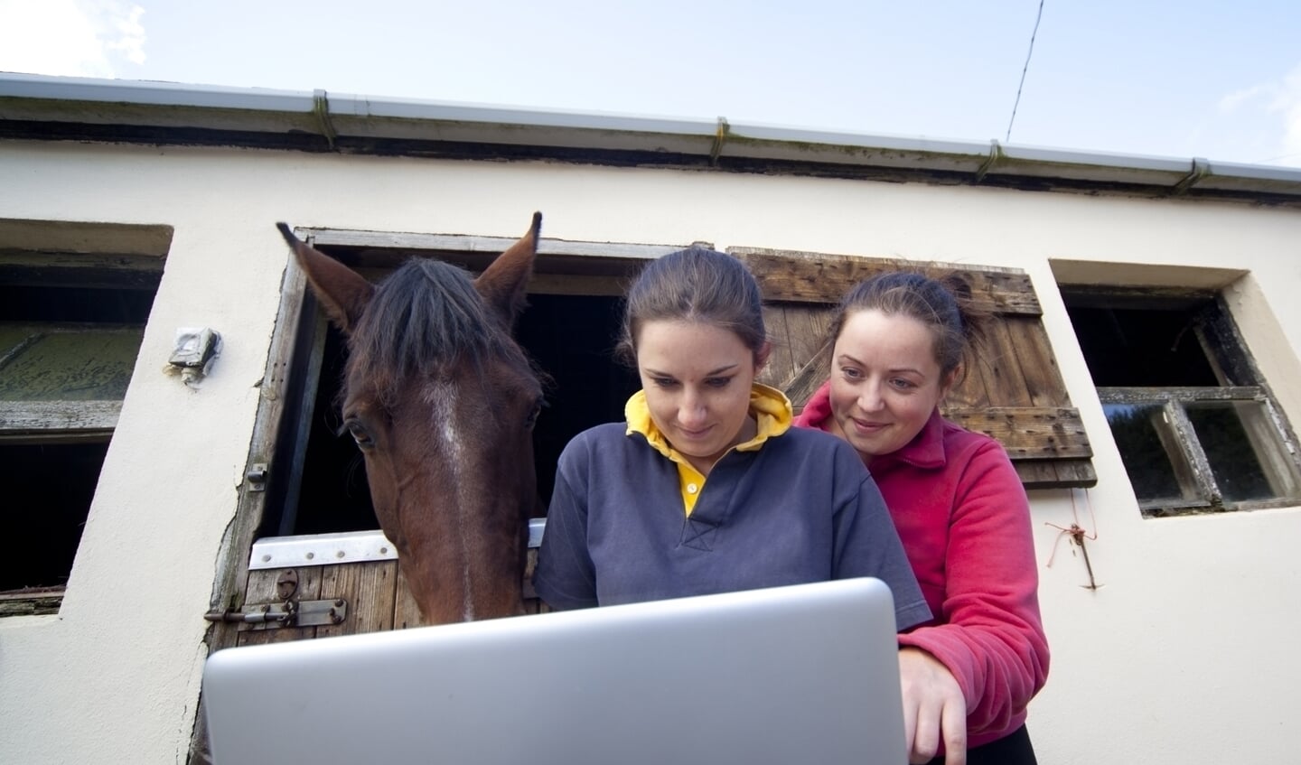 2 women and a horse looking at computer screen