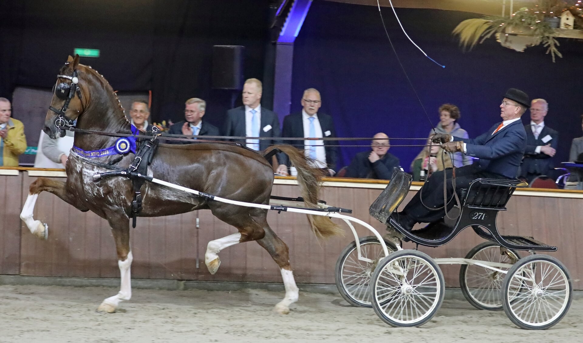 Beste nieuweling Olympus met achter het lint zijn fokker Gerard Lokhorst links naast zijn naamgenoot.