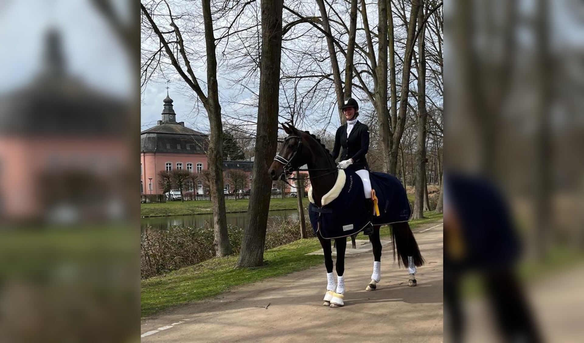 Druipend persoonlijkheid lavendel Subtop l Sanne Paulissen naar goede resultaten op tweede ZZZ-wedstrijd:  “Heel gaaf dat een goede proef beloond wordt” | Het onafhankelijke  paarden(sport)medium