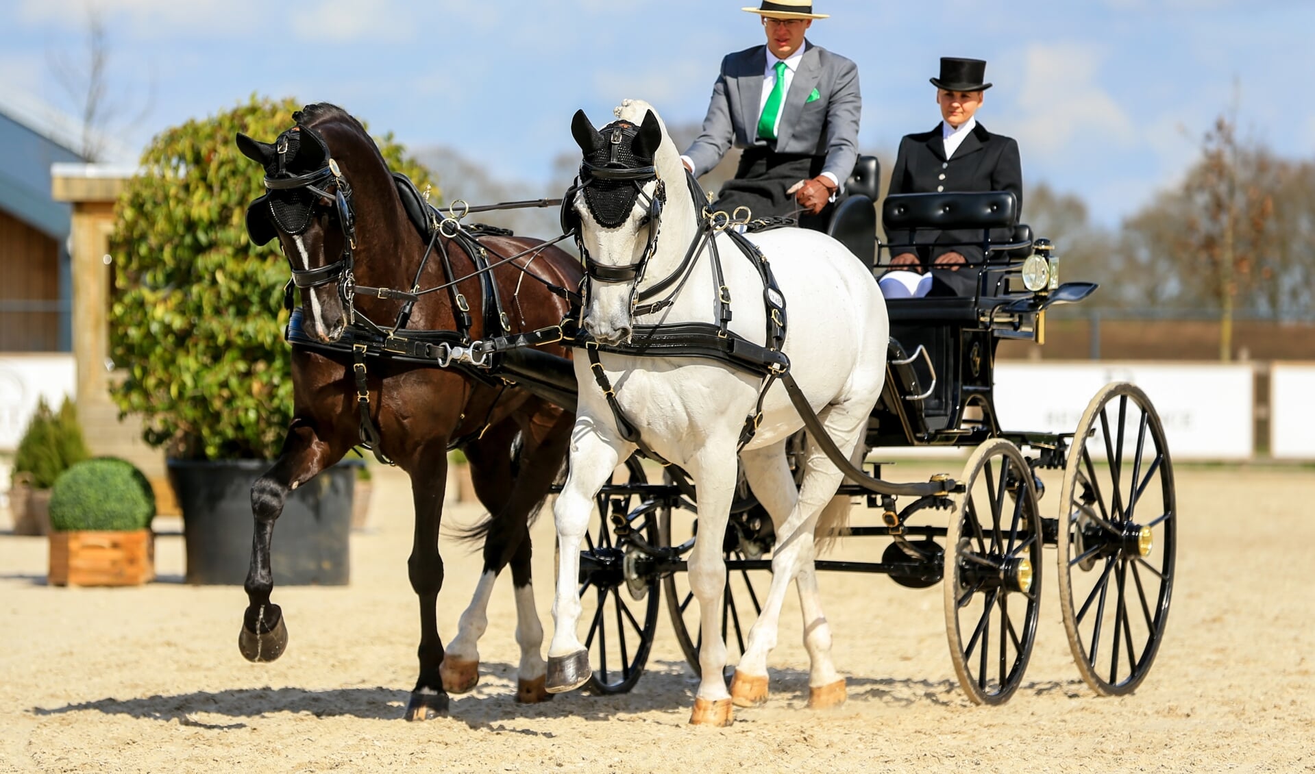 Martin Hölle met het nieuwe tweespantuig van Van der Wiel Harness.